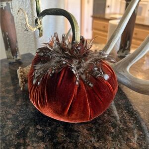 Velvet real feather decorative pumpkin